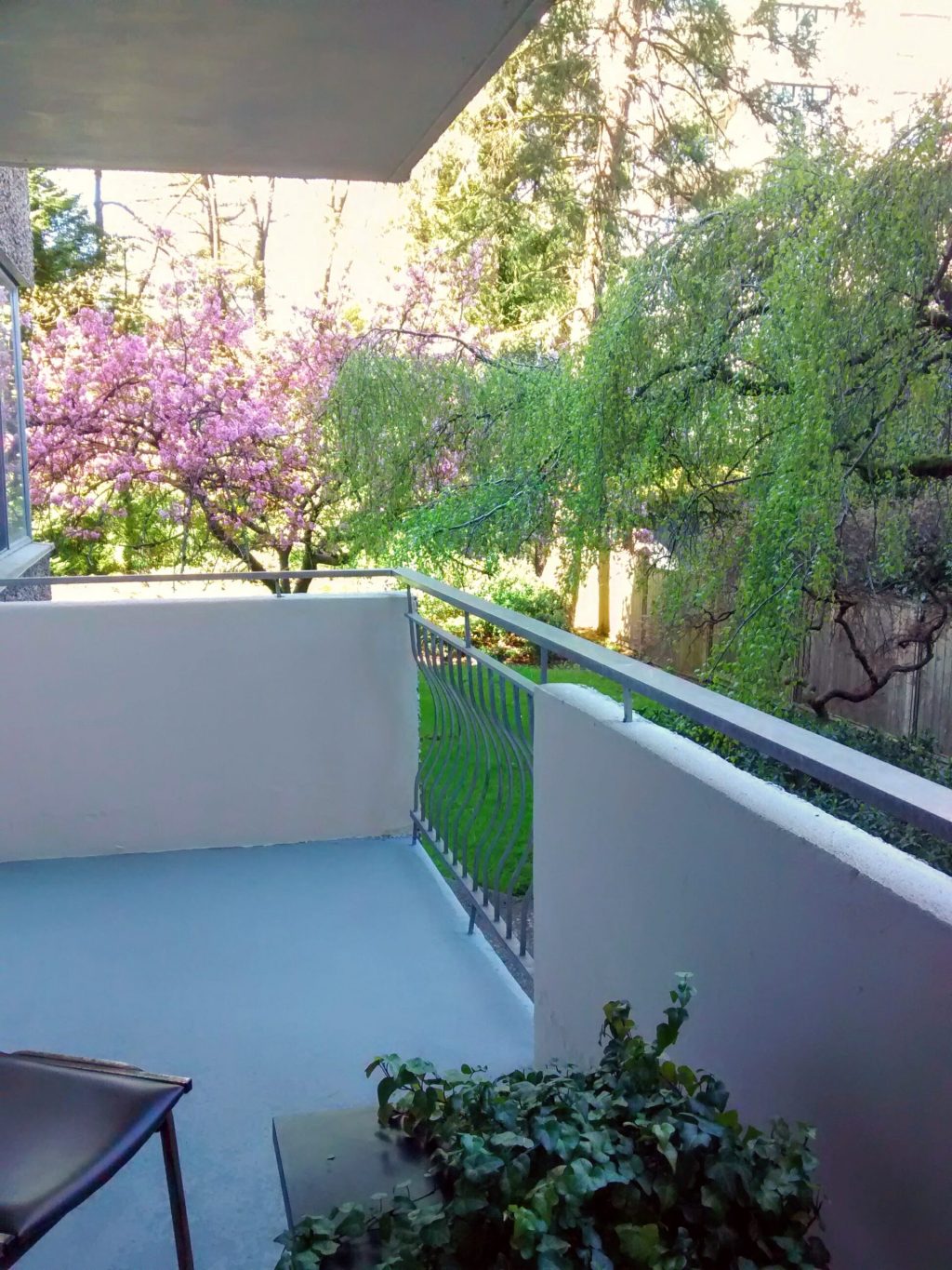 Springtime gratitude